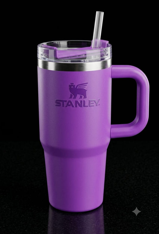 Bigman 13oz Stainless Steel Insulated Tumbler with Handle & Straw