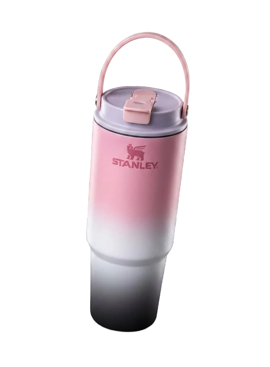 BIGMAN SweetShade | Gradient Travel Tumbler