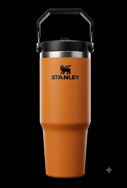 Bigman Premium Stainless Steel Insulated Tumbler with Handle | Hot & Cold Travel Mug | Leakproof