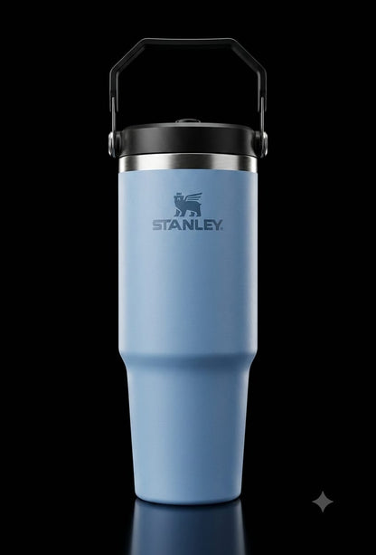 Bigman Premium Stainless Steel Insulated Tumbler with Handle | Hot & Cold Travel Mug | Leakproof