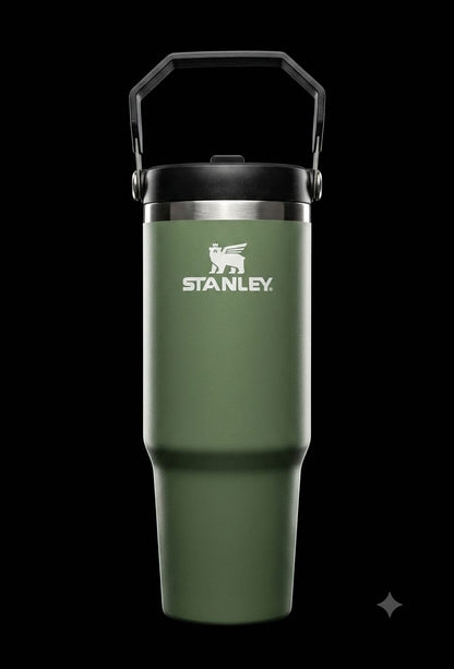 Bigman Premium Stainless Steel Insulated Tumbler with Handle | Hot & Cold Travel Mug | Leakproof